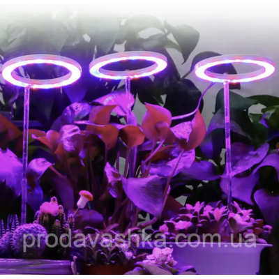 Фітолампа 4 фітосвітильника повного спектру для підсвічування та вирощування рослин круглі світлодіодна на підставці професійна Фітолампа 4 фітосвітильника повного спектру для підсвічування та вирощування рослин круглі світлодіодна на підставці професійна